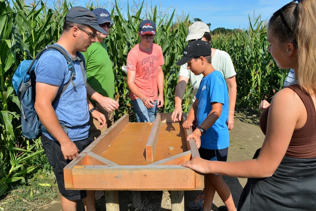 Pop Corn Labyrinthe 3